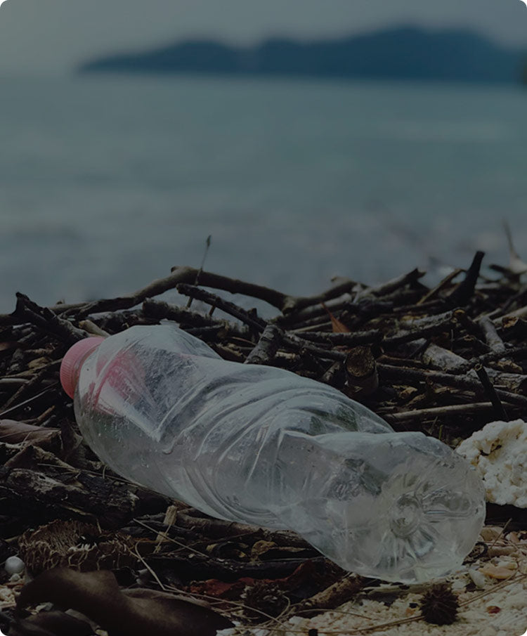 How Plastics Affect Our Ocean
