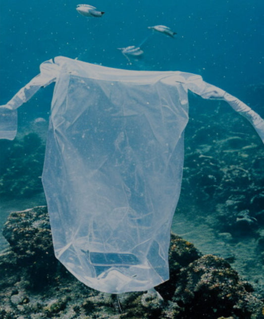 Take Care of the Earth, Starting with Water-Soluble Plastic Bags