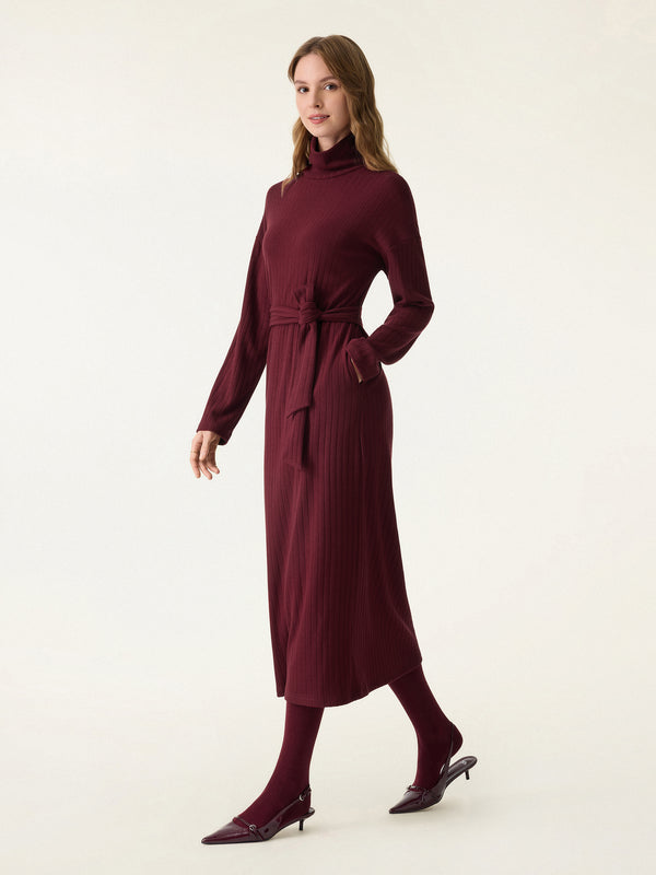 Turtleneck Belted Relaxed Fit Midi Dress