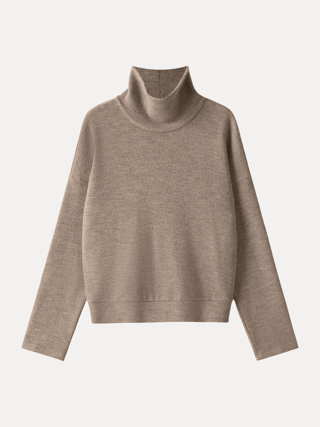 Turtleneck Relaxed Fit Long Sleeve Top Heather Taupe XS