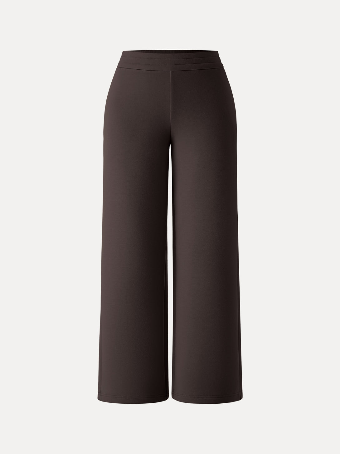 Cozy Warm High Rise Straight Leg Pull-on Pants with Pockets Petite Espresso