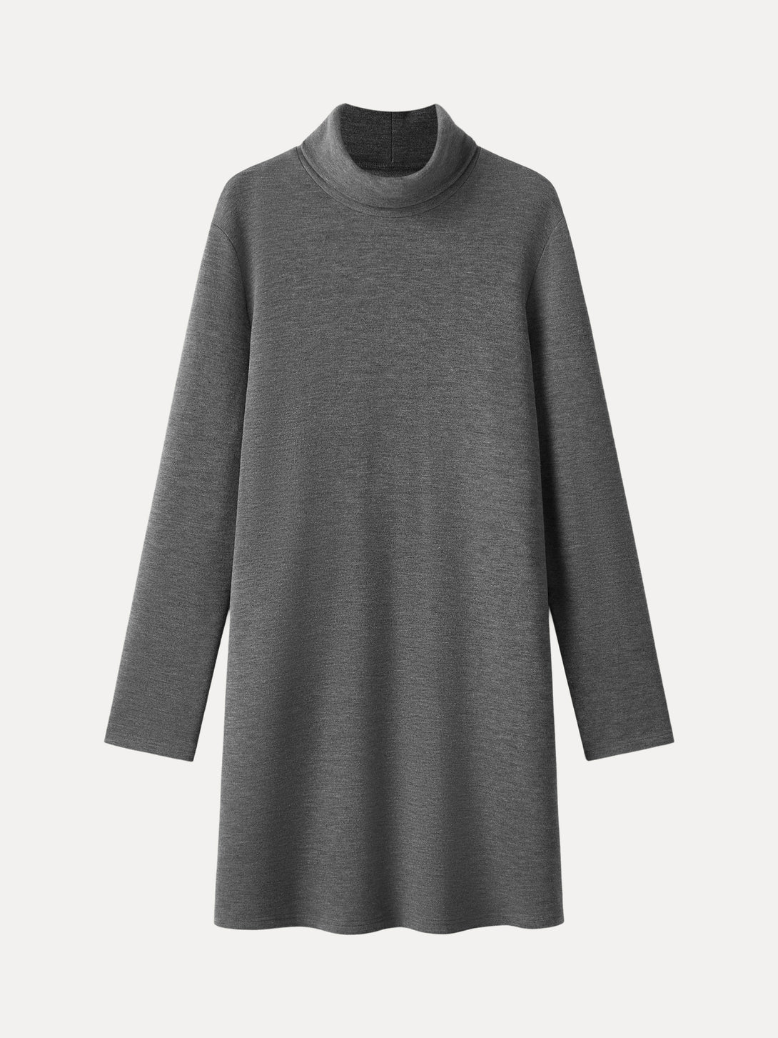 Cozy Warm Turtleneck Brushed Inside Mini Dress
