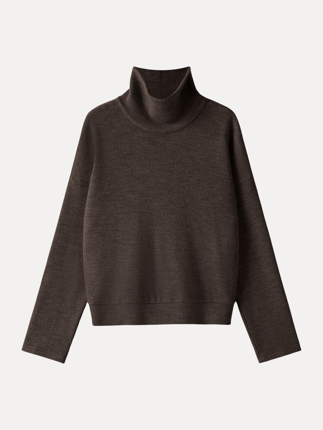 Turtleneck Relaxed Fit Long Sleeve Top
